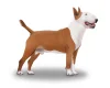 Bull Terrier