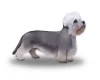 Dandie Dinmont Terrier