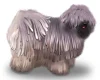 Hungarian Puli