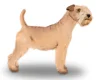 Lakeland Terrier
