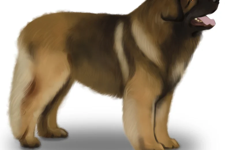 Leonberger