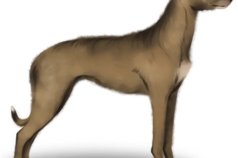Lurcher