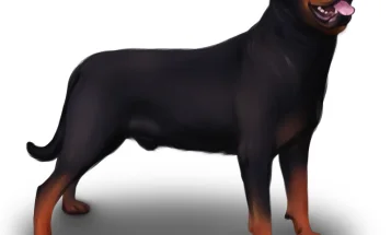 Rottweiler