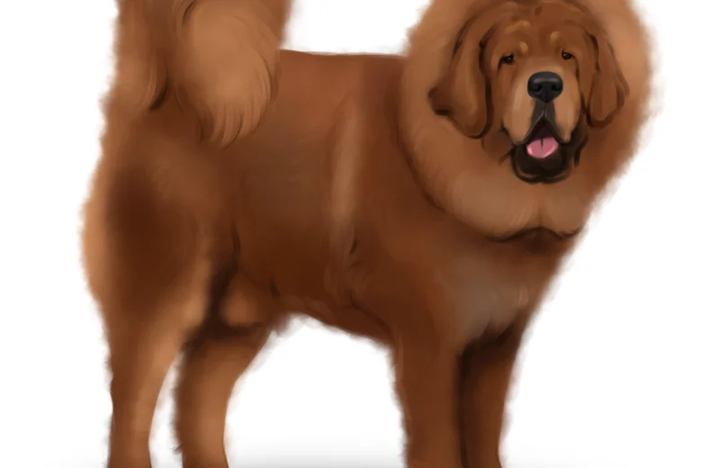Tibetan Mastiff