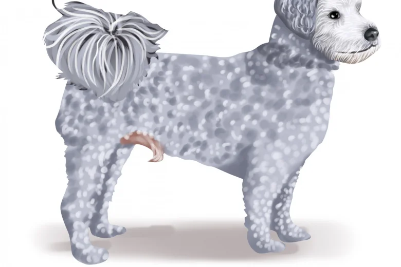 Poochon