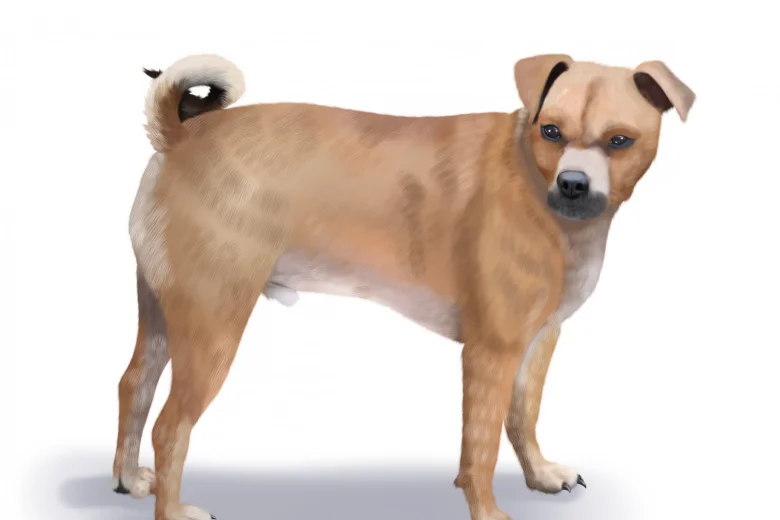 Puggle