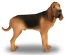 Bloodhound