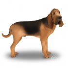 Bloodhound