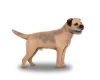 Border Terrier