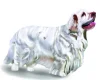 Clumber Spaniel