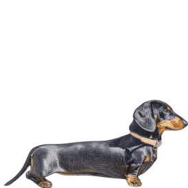 Dachshund (Miniature Smooth Haired)