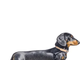 Dachshund (Miniature Smooth Haired)