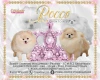 Pomeranian - Dogs