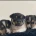 Jack Russell - Both