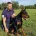 Doberman