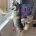 Siberian Husky