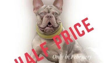 French Bulldog