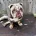English Bulldog