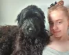 Goldendoodle