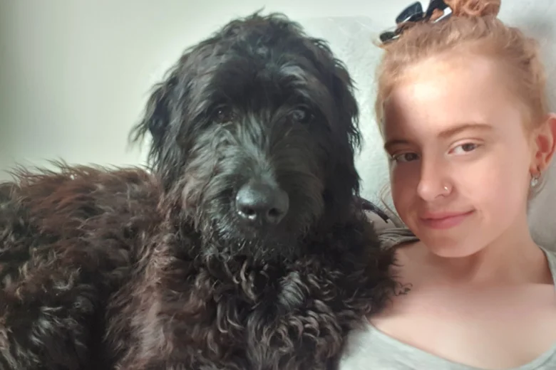 Goldendoodle