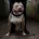 American Bulldog