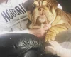 English Bulldog