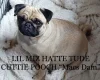 Pug