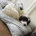 Bearded Collie