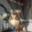 English Bulldog