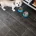 Lhasa Apso
