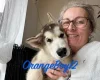 Alaskan Malamute - Both