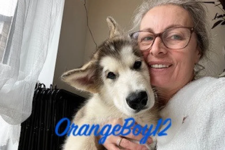 Alaskan Malamute - Both