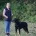 Beauceron