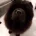 Chow Chow