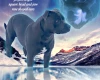 Staffordshire Bull Terrier