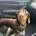 Dachshund (Smooth Haired)
