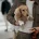 Dachshund (Smooth Haired)