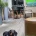 Dachshund (Smooth Haired)