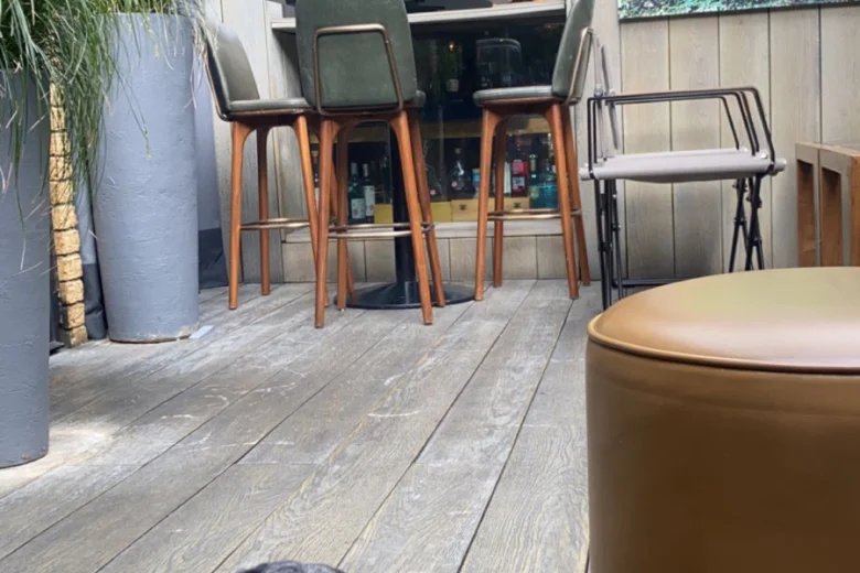 Dachshund (Smooth Haired)