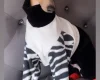 Italian Greyhound