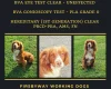 Cocker Spaniel (Show)