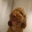 Cockapoo