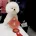 Bichon Frise