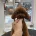 Toy Poodle