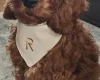 Irish Red and White Setter