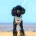 Toy Poodle