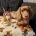 Dachshund (Miniature Long Haired)