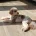Miniature Poodle