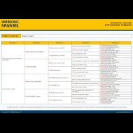 English Springer Spaniel