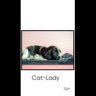 English Springer Spaniel